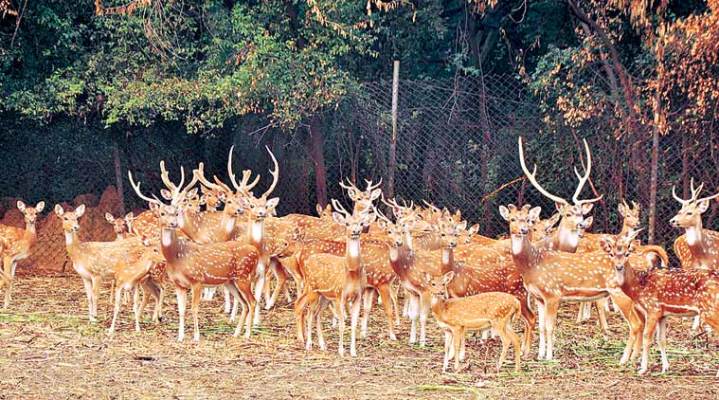 deer park hauz khas delhi location