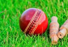 Best 5 Cricket Academy in Ahmedabad – Location, Timings, Contact Details cricket academy in Ahmedabad