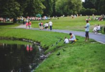 Himalayan Zoological Park Gangtok Location, Tourist Attraction, Timing, Entry Fees himalayan zoo gangtok location, timing, entry fess