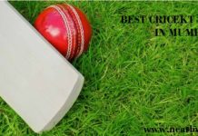 Best Cricket Academy In Mumbai- Location, Facilities, Contact Details best cricket academy in mumbai