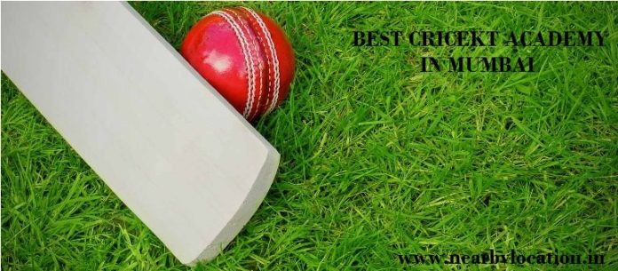 best cricket academy in mumbai