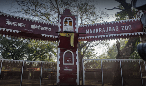 Maharaj bagh zoo, nagpur